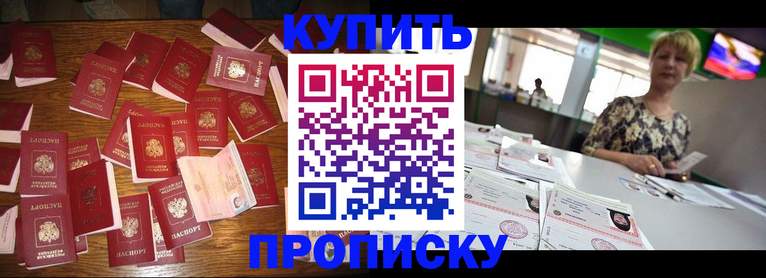 прописка 2025 в Белгороде